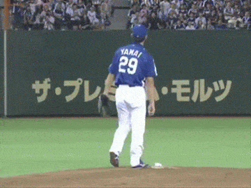 Left Field Japan Baseball Fail