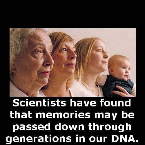 DNA memories