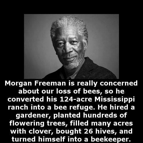 Morgan Freeman beekeeper