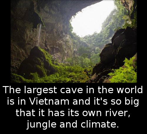 Vietnam climatized cave