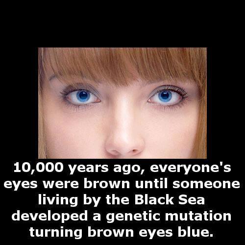 blue eye facts