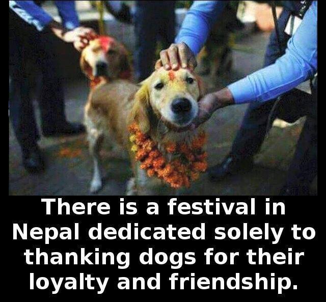 nepali dog festival