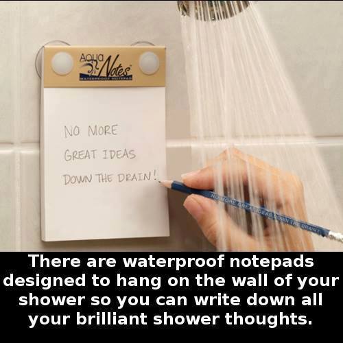 shower thoughts